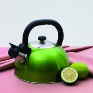 Creative Home Satin Mist Metallic Stainless Steel Whistling Tea Kettle, 2.6-Quart, Chartreuse N6