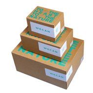 Natural charcoal Air Purifying Bag N6