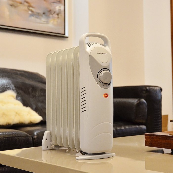 Homeleader 600W Oil Filled Radiator Heater, Portable Space Heater, Thermostat control, DF-600H1-7
