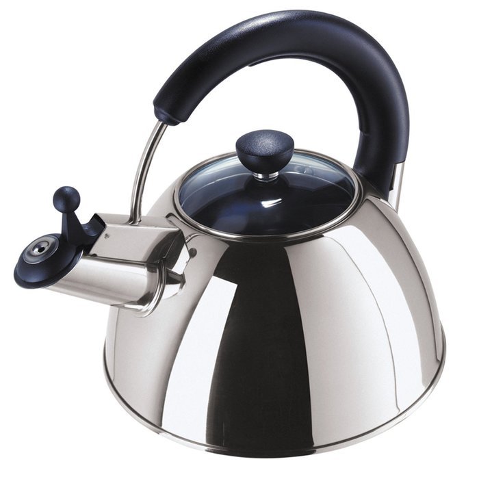 Oggi Satin Stainless Steel Whistling Tea Kettle with Glass Lid, 2.5 L