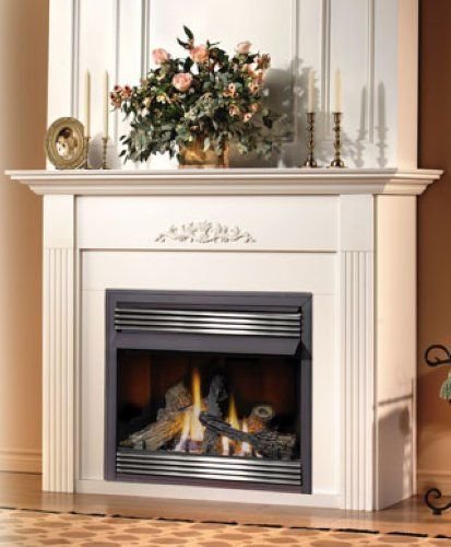 Napoleon GVF36-2P 30 000 BTU Vent Free Liquid Propane Fireplace With Safety Pull Screen Realistic PHAZER Logs...
