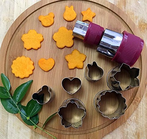 Zicome 8 Piece Stainless Steel Cake Vegetable Fruit Cookie Cutter N2