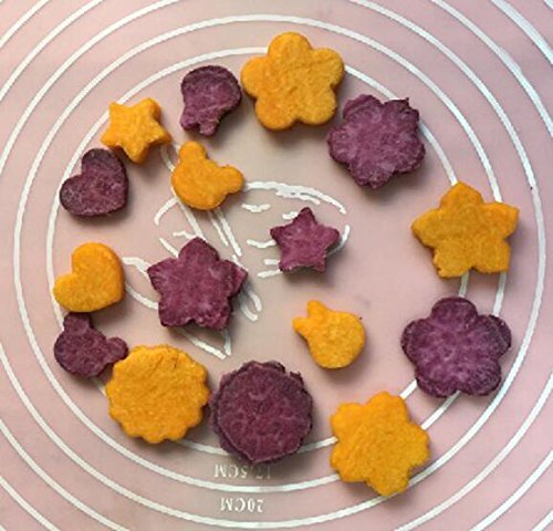 Zicome 8 Piece Stainless Steel Cake Vegetable Fruit Cookie Cutter N3