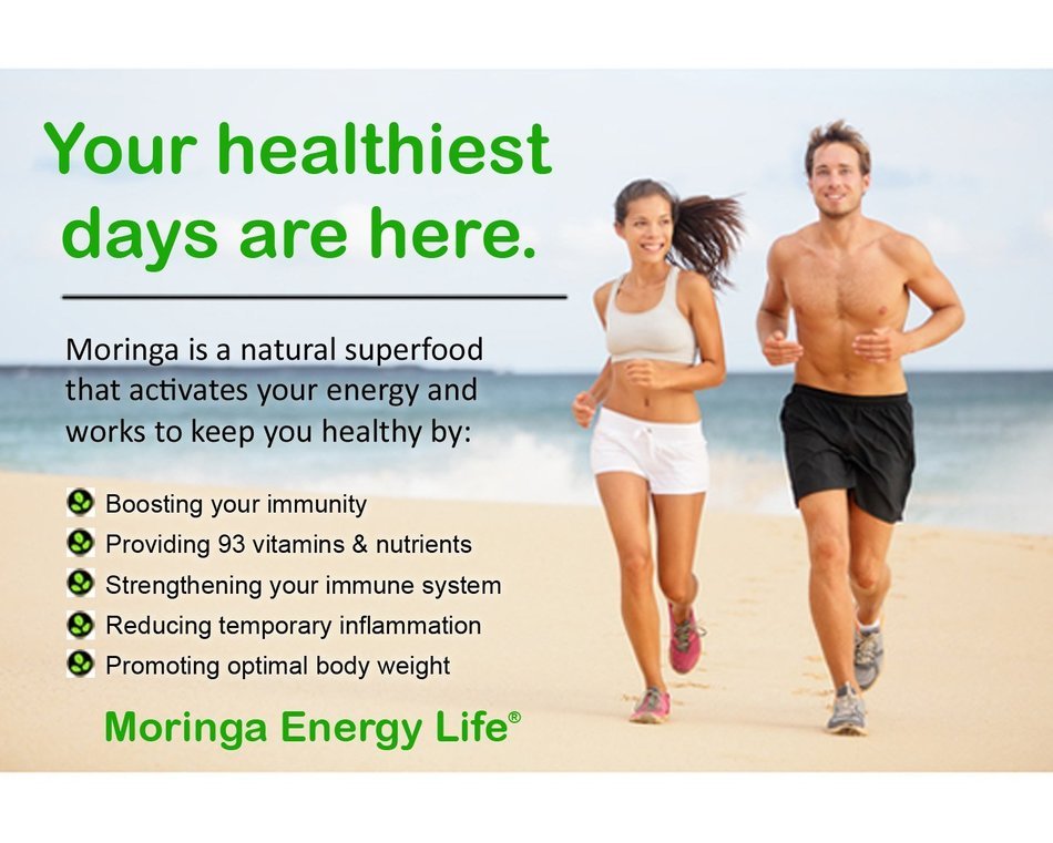 MORINGA GINGER TEA - USDA Organic, Exotic Blend of Fresh Moringa tea, Ginger Root and Lemongrass in a Combination... N3
