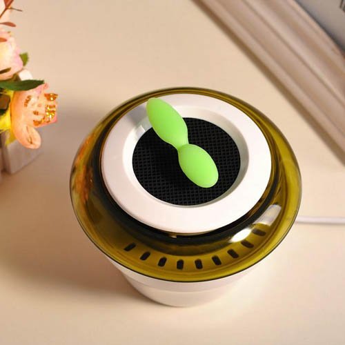 Fonhop Car Ionizers and Acticarbon Air Purifier, Little Peace Grass N4