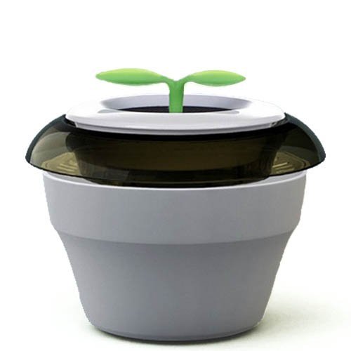 Fonhop Car Ionizers and Acticarbon Air Purifier, Little Peace Grass N5