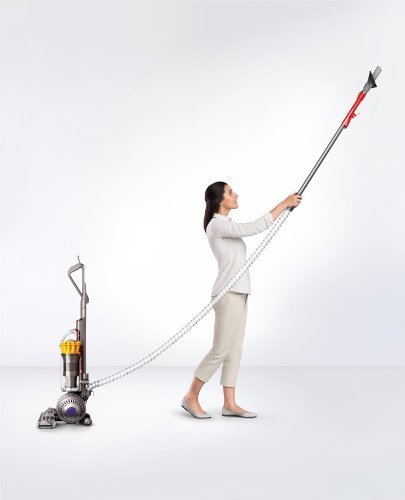 Dyson DC40 Animal Ball-Technology Upright Vacuum Cleaner N3
