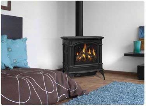 Napoleon GDS60-1N Fireplace, Natural Gas Stove Direct Vent 35,000 BTU - Painted Metallic Black