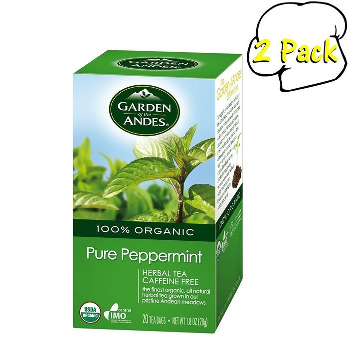 Garden of the Andes 100% Organic Herbal Tea, Rosehip and Hibiscus, 20-Count N41