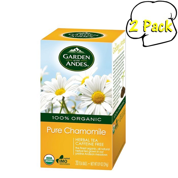 Garden of the Andes 100% Organic Herbal Tea, Rosehip and Hibiscus, 20-Count N53