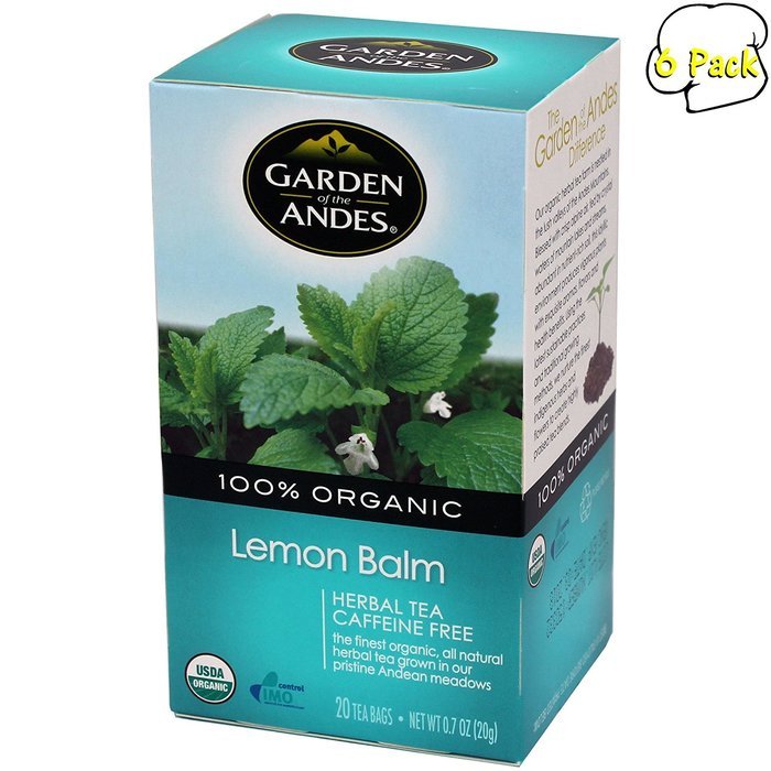 Garden of the Andes 100% Organic Herbal Tea, Rosehip and Hibiscus, 20-Count N69