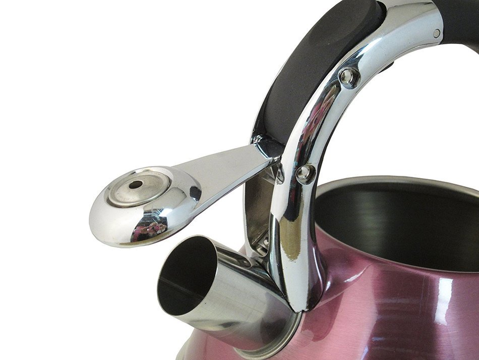 Native Spring 3-Quart Whistling Stainless Steel Tea Kettle Excellent for your Favorite Drink - Purple N5