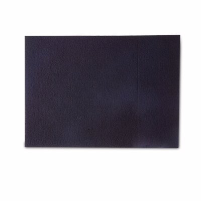 Charcoal Pre-Filters for Hunter Models 30245/30525 - 2 Pack N2