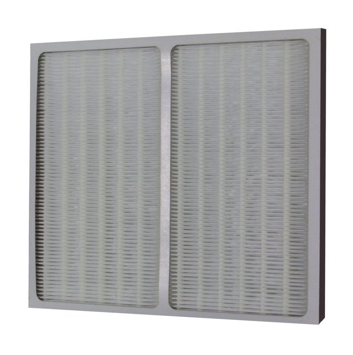 GE Replacement HEPA Filter RAPHF2