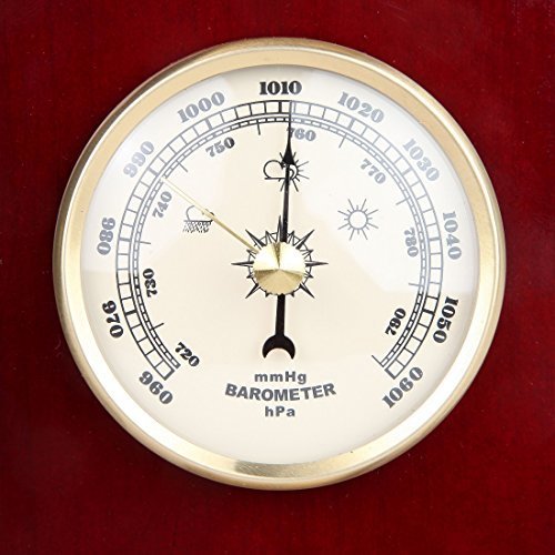 Lily's Home? Galileo Weather Station with Galileo Thermometer, a precision quartz clock, barometer and hygrometer N6