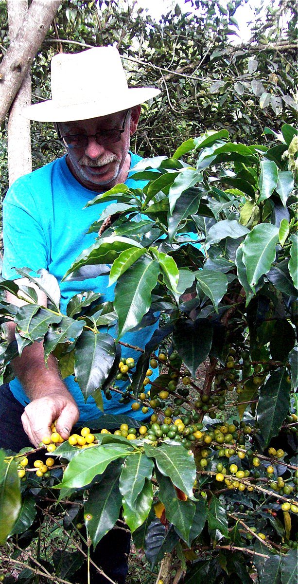 Picture of 100% Arabica Ground Coffee - Top blends and roasts - Target