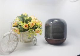 Gaodear Electric Aromatherapy Essential Oil Diffuser Humidifier Air Purifier for Whisper-Quiet Cool Mist Humidifier...