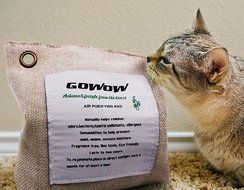 GOWOW Naturally Activated Bamboo Air Purifying Bag, Charcoal Bag (1Large, DarkGrey) N26