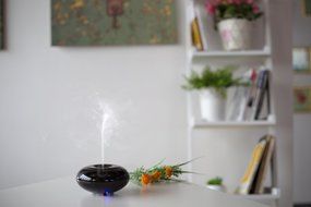 GerTong 100ml Cool Mist Humidifier Aroma Essential Oil Diffuser for Office Home Bedroom Living Room Study Yoga... N6