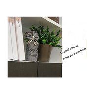 4pieces Natrual Air Purification Activated Charcoal/ Eliminate Formaldehyde, Benzene, Ammonia, Tvoc, Etc， Eliminate... N2