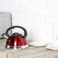 MyGift Stainless Steel Tea Kettle, 3 Quarts Whistling Water Pot, Silver N3