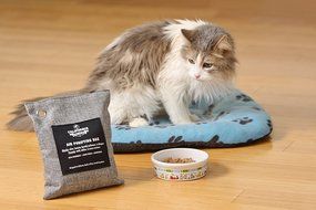 California Home Goods Naturally Activated Bamboo Air Purifying Bag, Charcoal Color, 500g N5