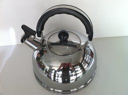 Fan Palm Ware Stainless Steel Whistling Tea Pot Kettle 2.5 Liter N2