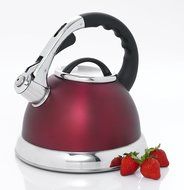 Creative Home 77034 Camille Stainless Steel Whistling Tea Kettle, 3-Quart, Opaque Blue N9