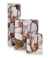 Boston International 6 Count Caskata Studio Bottle Bags, Peony Gold N16