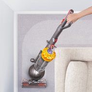 Dyson DC40 Upright Vacuum Cleaner (Certified Refurbished) N2
