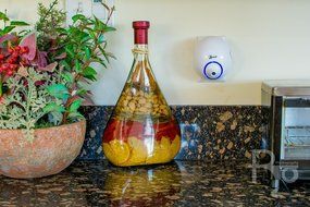 Mammoth Air Purifier Mini&reg; Wall Plug-In Adjustable Ion Ionic &amp; Ozone Air Purifier by Deodorize Destroy Odor, Filter-less... N2