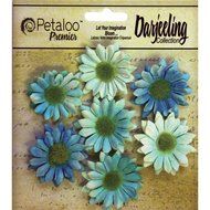 Petaloo Darjeeling Daisy Mini Teal