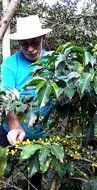 Don Gringo&acute;s Ground French Dark Roast Coffee Peruvian Andes&acute; Gourmet Arabica Selection. Single Origin Blend, Organically... N4