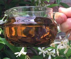 Jasmine Green Tea - Imperial Grade - Pure Loose Leaf Tea - From Fujian China (100g) 3.5 oz N25