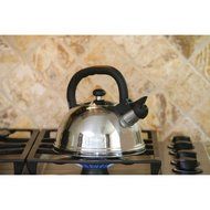 Cook Pro Stainless Steel Easy To Clean HygienicTeakettle