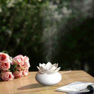 YJY 100mL Lotus Aromatherapy Essential Oil Diffuser - USB Silent Ultrasonic Waterless Auto Shut-off Air Humidifier... N2