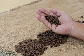 Espresso Coffee - Cubico Specialty Coffee - Gourmet Roasted Arabica Whole Bean Espresso Blend - 12 Ounce (Dark... N3