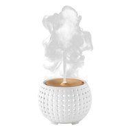 Ellia Gather Ultrasonic Natural Aroma Diffuser with Remote and Sample of Essential Oils