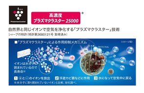 SHARP Plasmacluster Air Ionizer IG-B20 | Ideal for desktop, walk-in closet, kitchen (Japan Import)