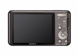 Sony Cyber-Shot DSC-W570 16.1 MP Digital Still Camera with Carl Zeiss Vario-Tessar 5x Wide-Angle Optical Zoom...