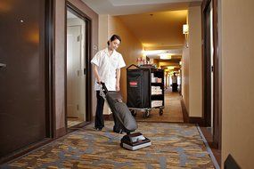 Rubbermaid Commercial 1868622 Executive Series Ultra-Lightweight Upright Vacuum Cleaner, 12-inch, Black N5