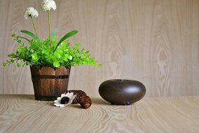 Cool Mist Humidifier, TurnRaise Essential Oil Diffuser Humidifier w/ Cool Air Ultrasonic Aromatherapy, 4 Timer... N34