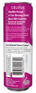 Celsius Green Tea, Peach Mango, 12 Ounce (Pack of 12) N7