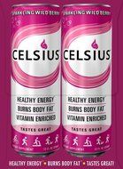 Celsius Green Tea, Peach Mango, 12 Ounce (Pack of 12) N15