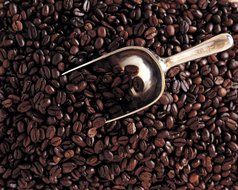 Peru Approcassi Cajamarca Fair Trade Shade Grown Organic Coffee Beans (Light Roast (City), 3 Pounds Whole Beans) N4
