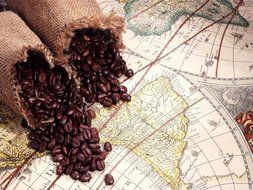 Peru Approcassi Cajamarca Fair Trade Shade Grown Organic Coffee Beans (Light Roast (City), 3 Pounds Whole Beans) N6