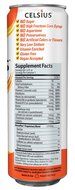 Celsius Green Tea, Peach Mango, 12 Ounce (Pack of 12) N23