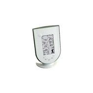 P3 INTERNATIONAL Wireless Professional Weather Station