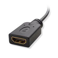 Cable Matters (2-Pack) Micro HDMI to HDMI Male to Female Cable Adapter 6 Inch N2