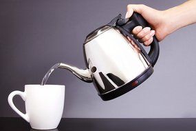 Best Small Stainless Steel Goose-neck Style Electric Tea Kettle. Precise Pouring and Quick Boil Water for Your... N6